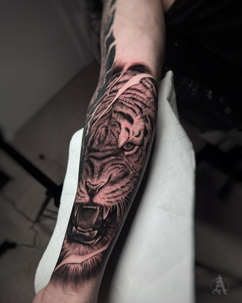 Tatuaje de tigre rugiendo en antebrazo, realismo en negro y gris